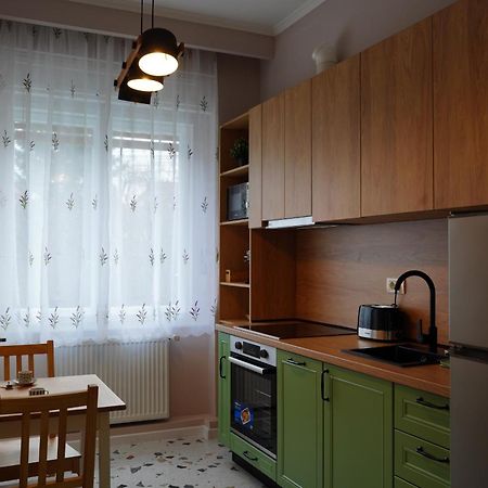 Ami'S Corner Lovely Family And Couple'S Home Сибиу Экстерьер фото